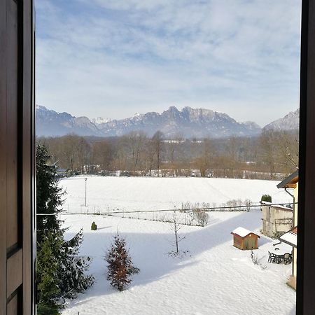 Agriturismo Antica Pieve Limana 外观 照片