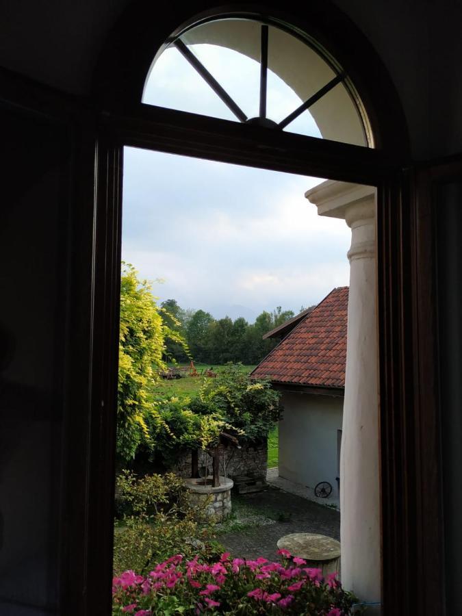 Agriturismo Antica Pieve Limana 外观 照片