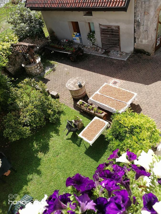 Agriturismo Antica Pieve Limana 外观 照片